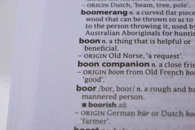 İngilizce Tanımlama Sözlüğü Sayfası - Boon Companion Yazılı Sözcüğünün Kapanışı