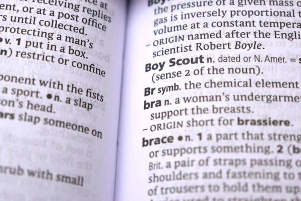 İngilizce Sözlük Sayfası İzci Çocuğun Yazılı Sözcüğünün Kapanışı