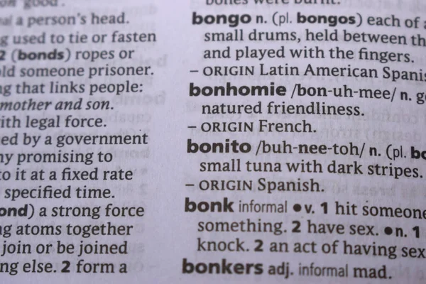İngilizce Tanımlama Sözlüğü Sayfası - Bonito 'nun Yazılı Sözcüğünün Kapanışı