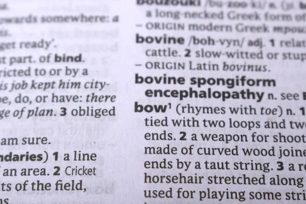 İngilizce Tanımlama Sözlüğü Sayfası - Yayın Sözcüğünün Kapalı Sayfası