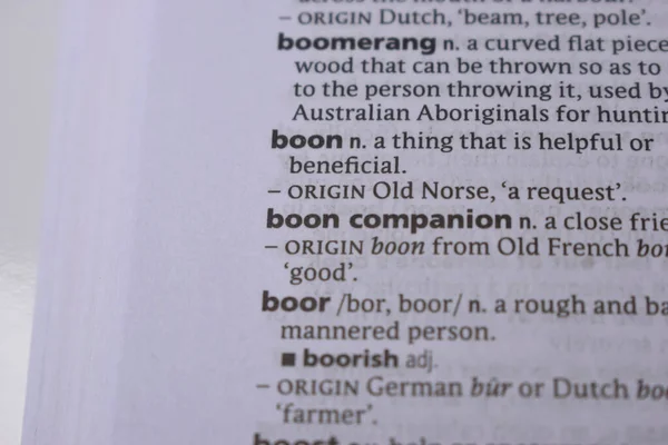 İngilizce Tanımlama Sözlüğü Sayfası - Boon Companion Yazılı Sözcüğünün Kapanışı
