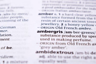 İngilizce Sözlük Sayfasını Kelimeyle Kapat - ambergris