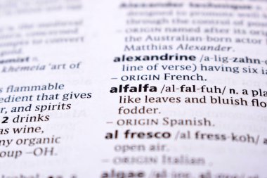 İngilizce Sözlük Sayfasını Kelimeyle Kapat - alffa