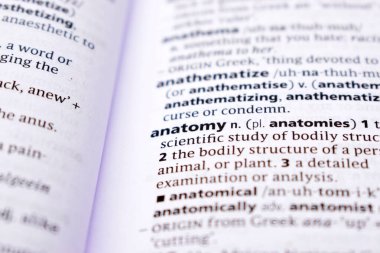 İngilizce Sözlük Sayfasını Kelimeyle Kapat - Anatomi