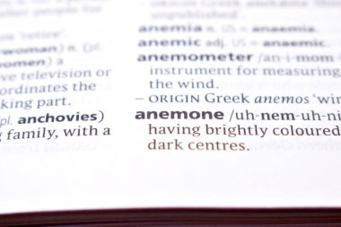 İngilizce Sözlük Sayfasını Kelimeyle Kapat - şakayık