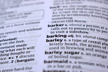 İngilizce Tanımlama Sözlüğü - Arpa Sözcüğünün Yazılı Sayfasını Kapat