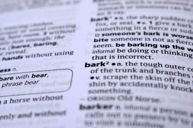 İngilizce Sözlük Sayfası - Bark Sözcüğüyle Kapat