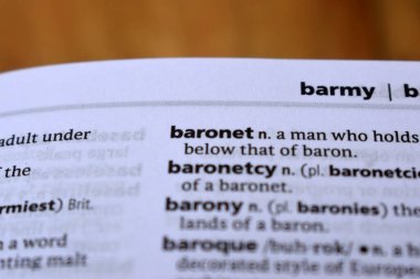 - baronet kelimesinin İngilizce Tanımlama Sözlüğü Sayfasını Kapat