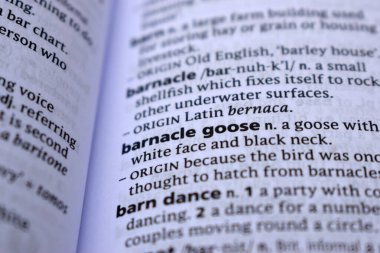 İngilizce Sözlük Sayfası Barnacle Goose Sözcüğüyle Kapat
