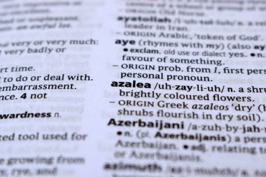 İngilizce Tanımlama Sözlüğü Sayfası - Açelya 'nın Yazılı Kelimesinin Kapanışı