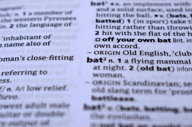 İngilizce Tanımlama Sözlüğü Sayfası - yarasanın Yazılı Sözcüğünün Kapanışı