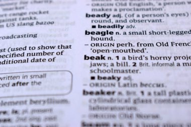İngilizce Tanımlama Sözlüğü Sayfası - Beagle 'ın Yazılı Sözcüğünün Kapanışı