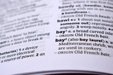 İngilizce Tanımlama Sözlüğü Sayfası - Bay 'in Yazılı Sözcüğünün Kapanışı