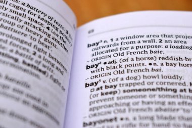 İngilizce Sözlük Sayfasını Kelimeyle Kapat - Bay