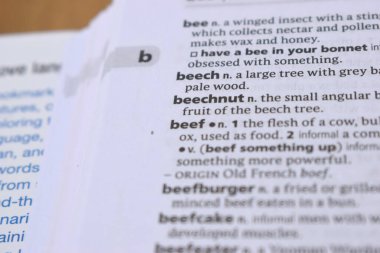 İngilizce Sözlük Sayfası - beechunut Sözcüğüyle Kapat