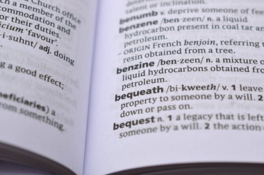 İngilizce Sözlük Sayfasını Kelimeyle Kapat - vasiyet