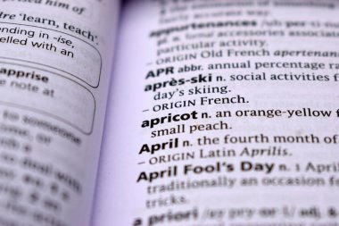 İngilizce Tanımlama Sözlüğü Sayfası Kayısı Sözcüğünün Yazılı Sözcüğünün Kapanışı