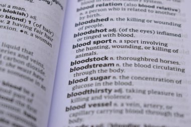 İngilizce Tanımlama Sözlüğü Sayfası Kan Sporu Sözcüğünün Kapalı Sayfası