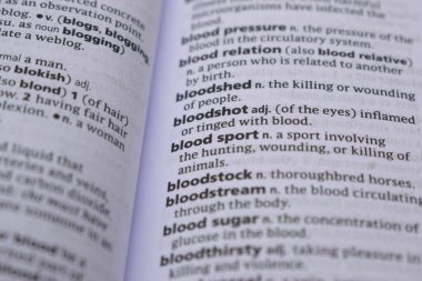 İngilizce Sözlük Sayfasını Sözcükle Kapat - kan lekesi