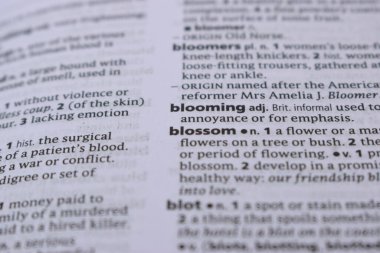 İngilizce Tanımlama Sözlüğü Sayfası - Çiçeğin Yazılı Sözcüğünün Kapanışı