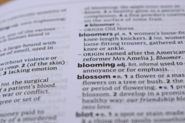 İngilizce Sözlük Sayfasını Kelimeyle Kapat - çiçek açıyor