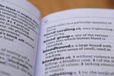 İngilizce Tanımlama Sözlüğü Sayfası - Kan Tazısı Sözcüğünün Kapalı Sayfası