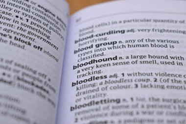 İngilizce Sözlük Sayfasını Kelimeyle Kapat - Kan Tazısı