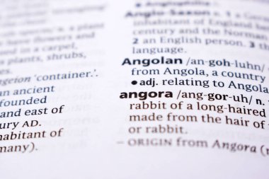 İngilizce Sözlük Sayfasını Kelimeyle Kapat - angora