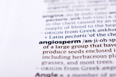 İngilizce Sözlük Sayfası - Angiosperm Sözcüğüyle Kapat