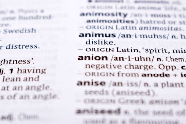 İngilizce Sözlük Sayfasını Sözcükle Kapat - anyon