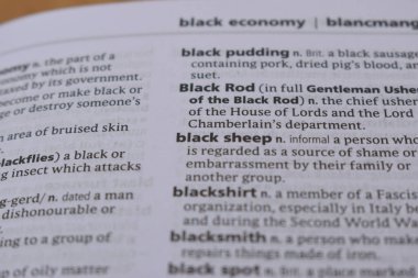 İngilizce Sözlük Sayfasını Kelimeyle Kapat - yüz karası