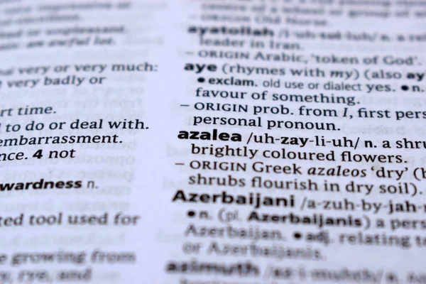 İngilizce Tanımlama Sözlüğü Sayfası - Açelya 'nın Yazılı Kelimesinin Kapanışı