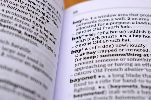 İngilizce Tanımlama Sözlüğü Sayfası - Bay 'in Yazılı Sözcüğünün Kapanışı