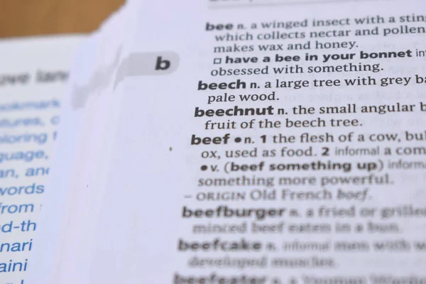 İngilizce Sözlük Sayfası - beechunut Sözcüğüyle Kapat