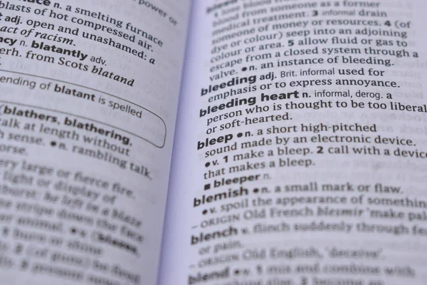 İngilizce Sözlük Sayfasını Kelimeyle Kapat - bip