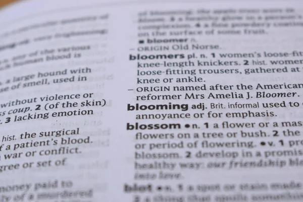 İngilizce Sözlük Sayfasını Kelimeyle Kapat - çiçek açıyor