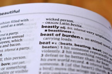 İngilizce Tanımlama Sözlüğü Sayfası Çirkin Sözcüğün Yazılmış Sözcüğünün Kapanışı