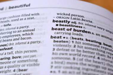 İngilizce Sözlük Sayfasını Kelimeyle Kapat - Çirkin