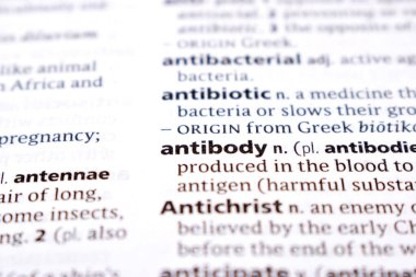 İngilizce Sözlük Sayfasını Kelimeyle Kapat - antikor