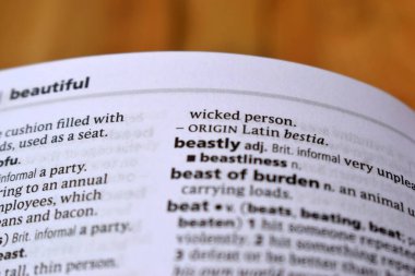 İngilizce Sözlük Sayfasını Kelimeyle Kapat - Çirkin