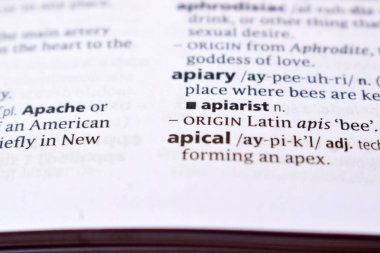 İngilizce Sözlük Sayfası - apik Sözcüğüyle Kapat