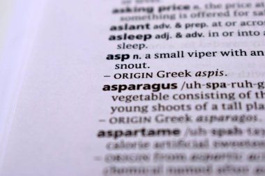 İngilizce Tanımlama Sözlüğü Sayfası - kuşkonmazın Yazılı Sözcüğünün Kapanışı