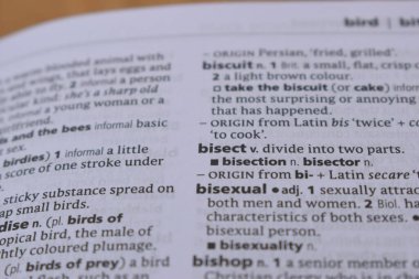 İngilizce Sözlük Sayfası - Bigment Sözcüğüyle Kapat