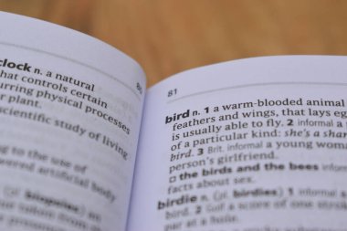 - bird kelimesinin İngilizce Tanımlama Sözlüğü Sayfasını Kapat