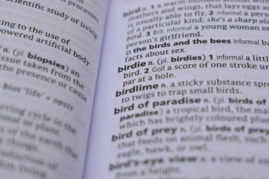 İngilizce Sözlük Sayfası - Birdie Sözcüğüyle Kapat