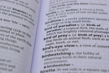 İngilizce Sözlük Sayfasını Kelimeyle Kapat - Yırtıcı Kuş