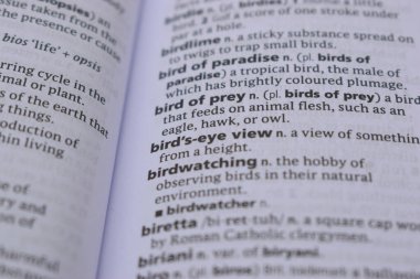 İngilizce Tanımlama Sözlüğü - kuş bakışı görünümünün Yazılmış Kelimesinin Kapalı Sayfası