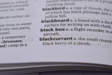 İngilizce Tanımlama Sözlüğü - Kara Kutunun Yazılı Sözcüğünün Sayfasını Kapat