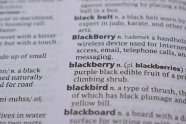 İngilizce Tanımlama Sözlüğü Sayfası - Blackberry Sözcüğünün Yazılı Sözcüğünün Kapanışı