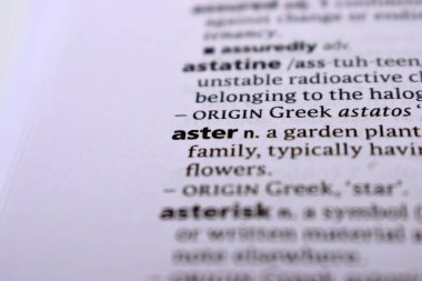 İngilizce Sözlük Sayfası - aster Sözcüğüyle Kapat